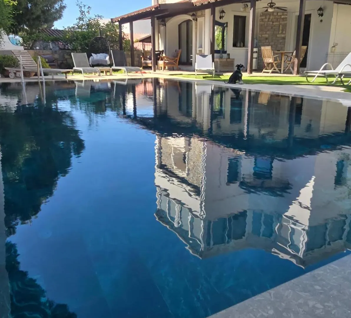 Bodrum Merkezde Muestakil Havuzlu Villa elérhetőségei